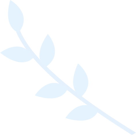 网络手机号免费版